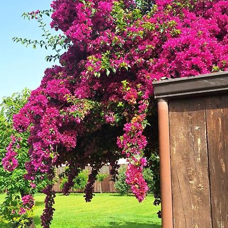 Altavilla Silentina Villa Lucilla المظهر الخارجي الصورة