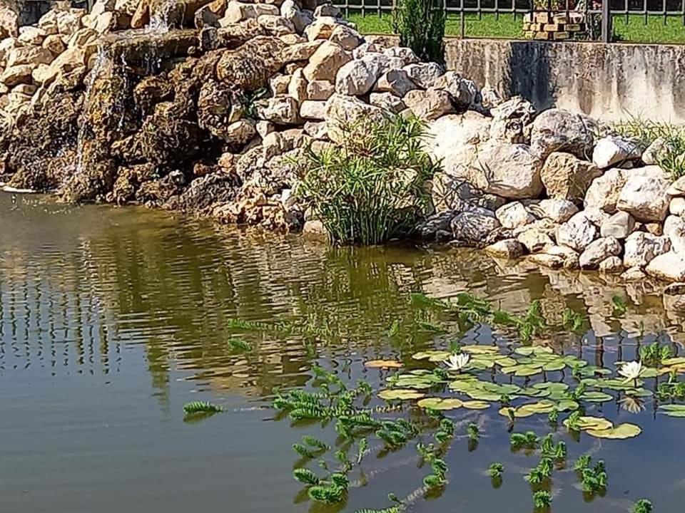 Altavilla Silentina Villa Lucilla المظهر الخارجي الصورة