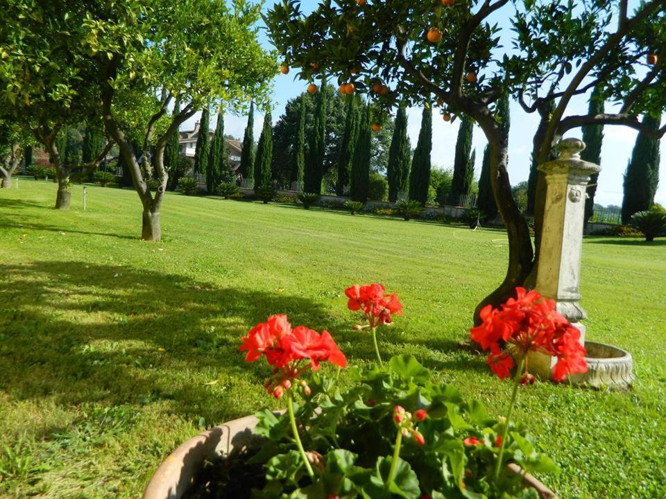 Altavilla Silentina Villa Lucilla المظهر الخارجي الصورة