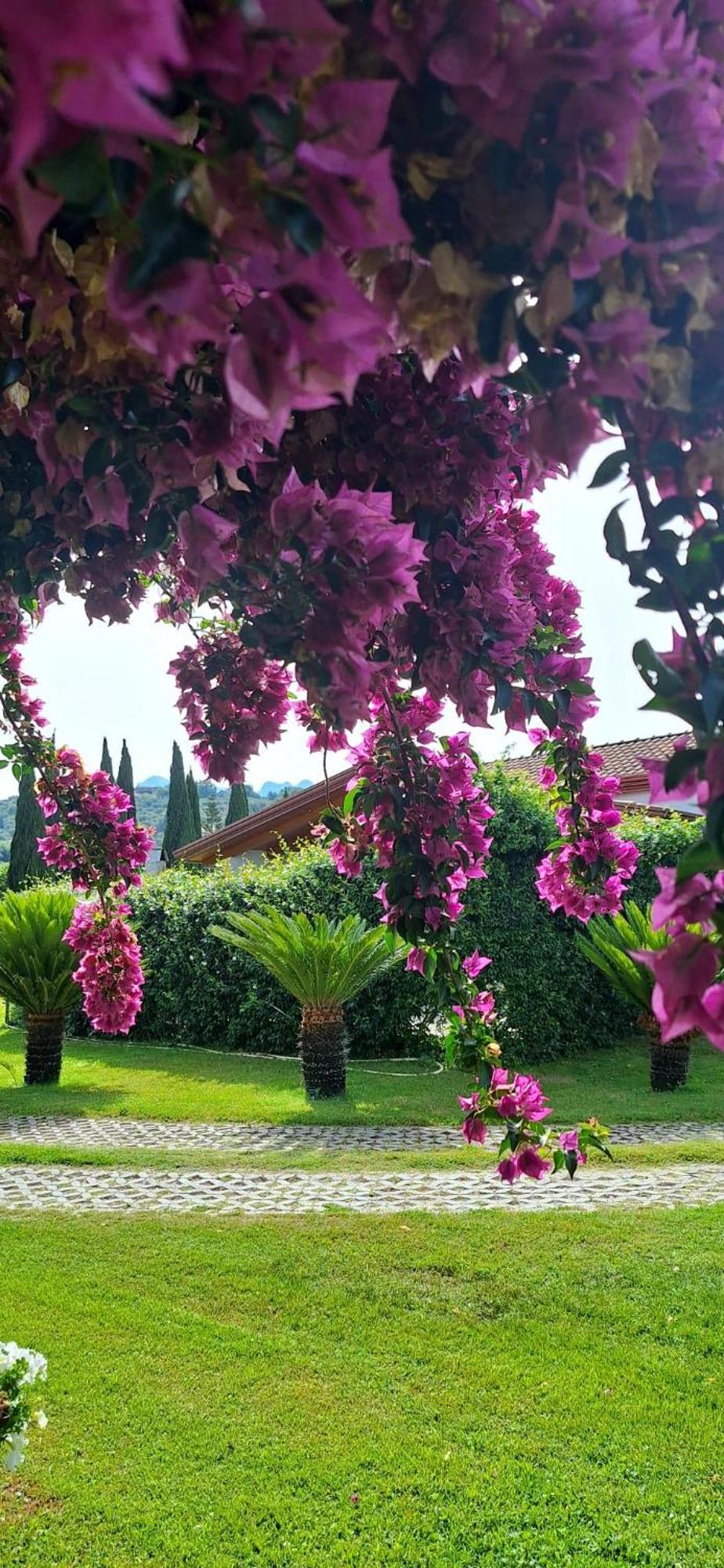 Altavilla Silentina Villa Lucilla المظهر الخارجي الصورة