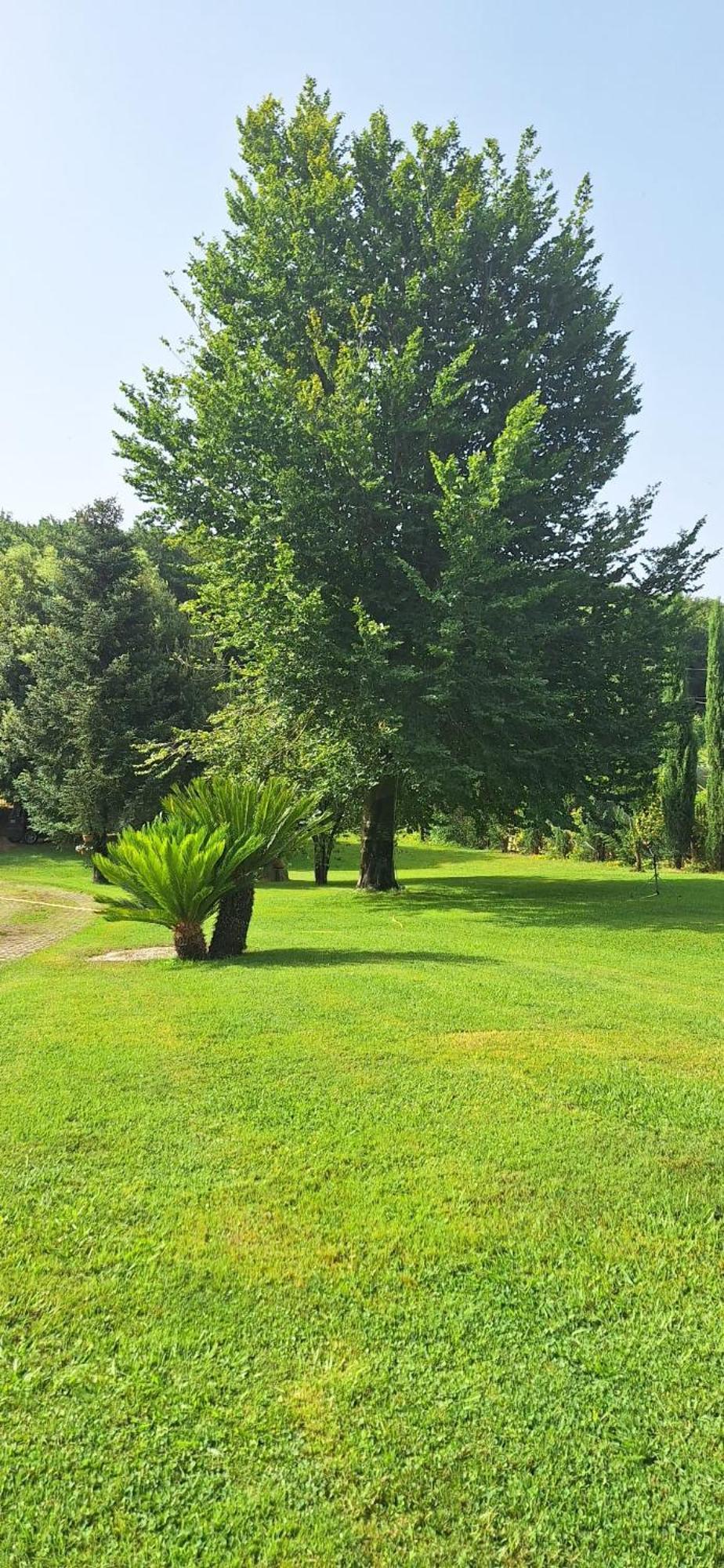 Altavilla Silentina Villa Lucilla المظهر الخارجي الصورة